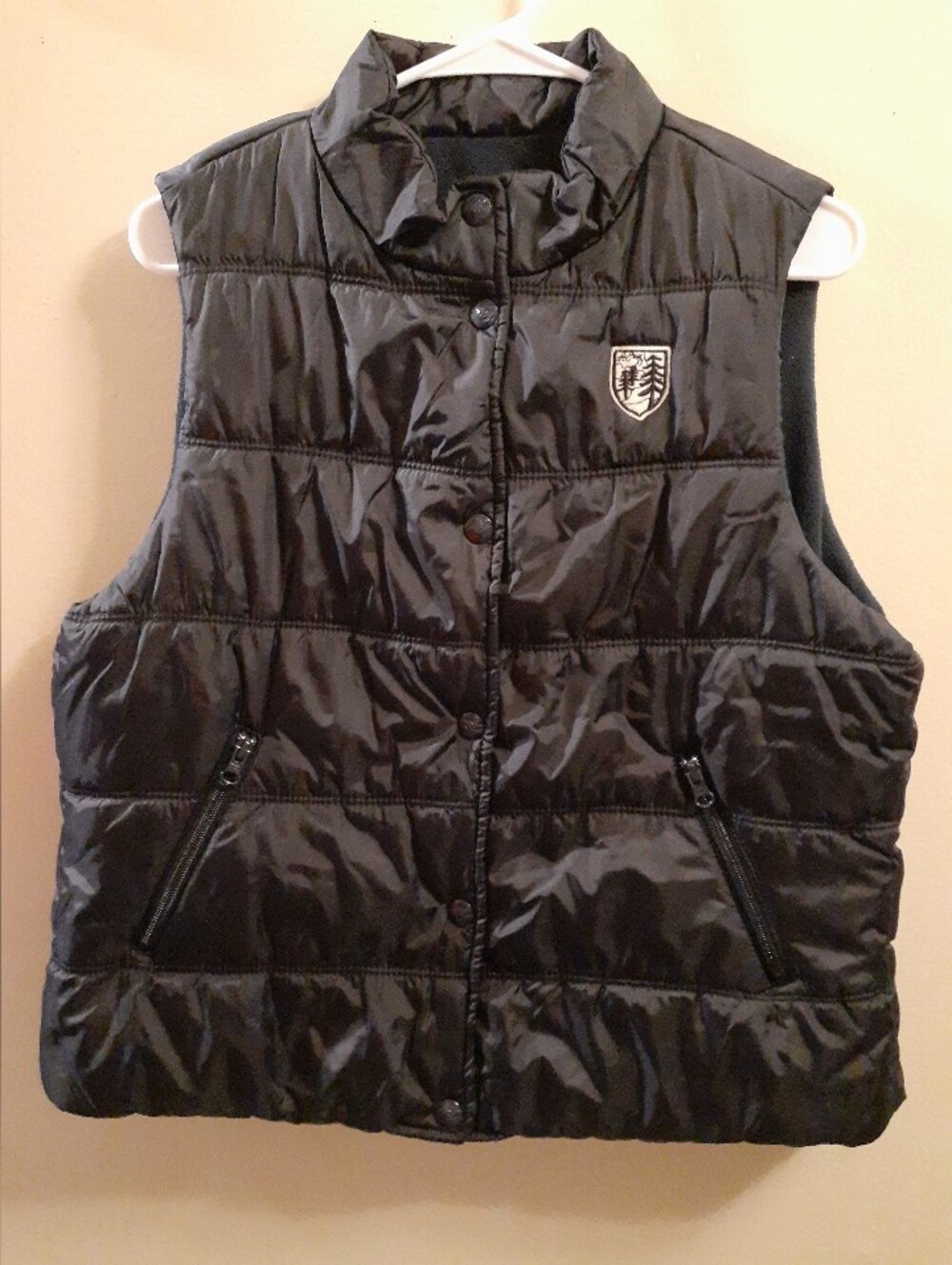 American Eagle Outfitters Black Quilted Puffer Vest